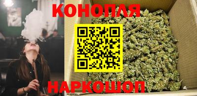 гашик Нарткала
