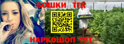 гашик Нарткала