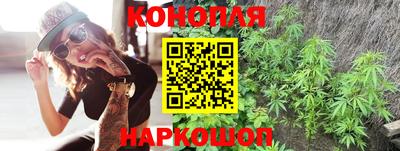 гашик Нарткала