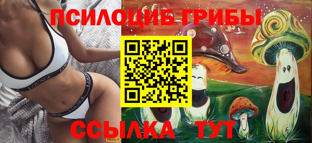 Невинномысск  Псилоцибиновые грибы GOLDEN TEACHER  Вход с VPN 
